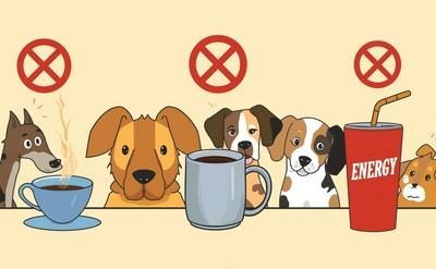 狗狗吃到咖啡因：茶、咖啡、能量飲料危害解析