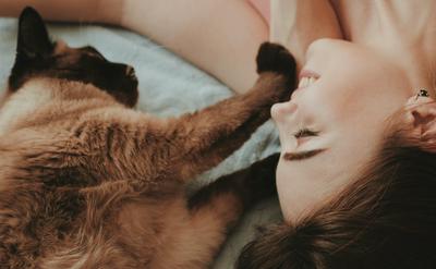 貓咪為什麼會「踩奶」？5大原因與踩奶過度怎麼辦