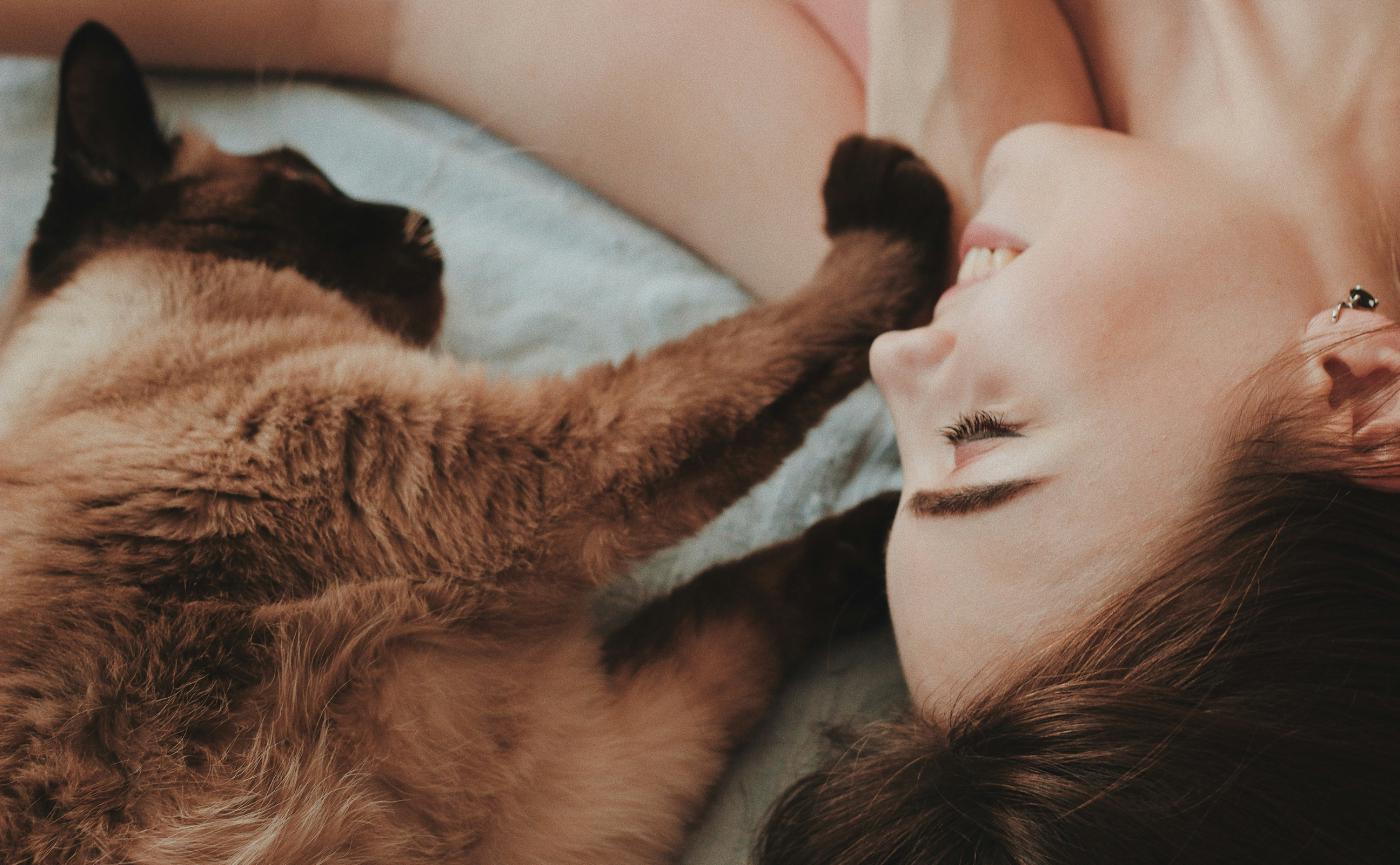 貓咪為什麼會「踩奶」？5大原因與踩奶過度怎麼辦