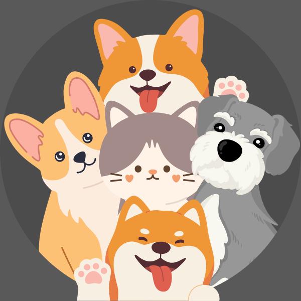 Petflic 毛編團隊